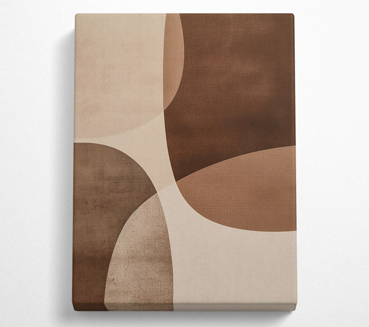 Brown Curved Abstract Canvas Wall Art