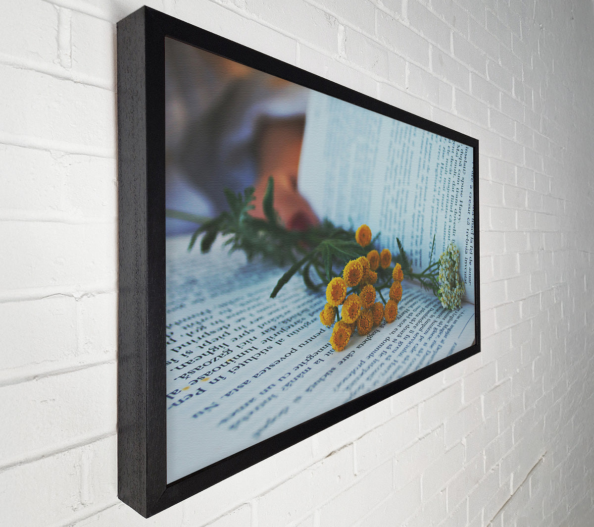 Yellow Blooms On White Pages Canvas Wall Art