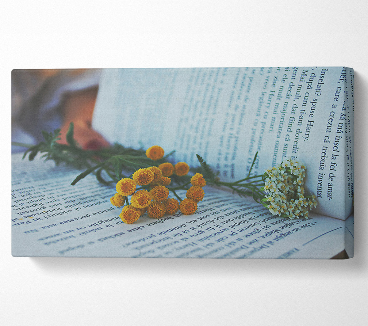 Yellow Blooms On White Pages Canvas Wall Art
