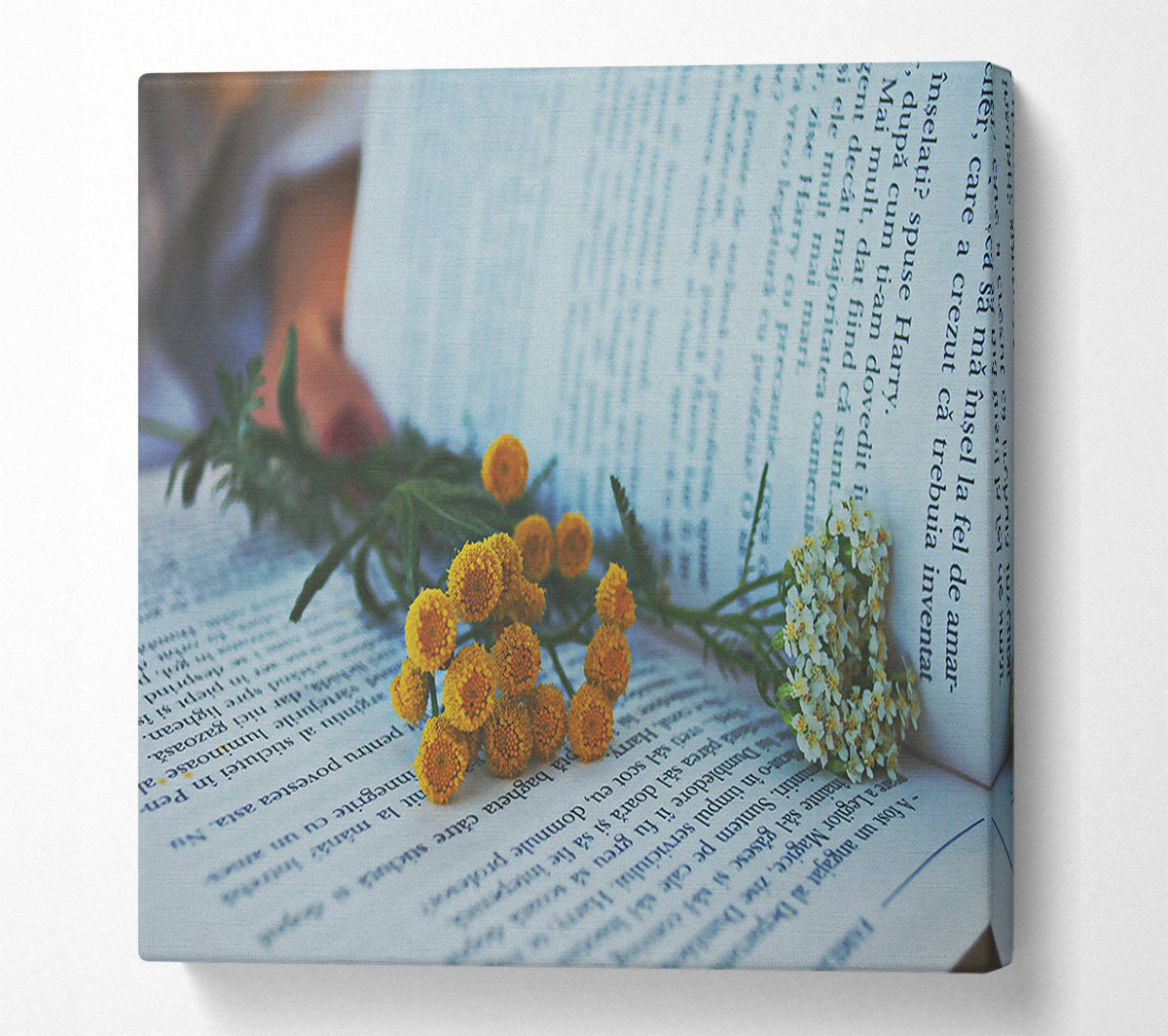 Yellow Blooms On White Pages Canvas Wall Art