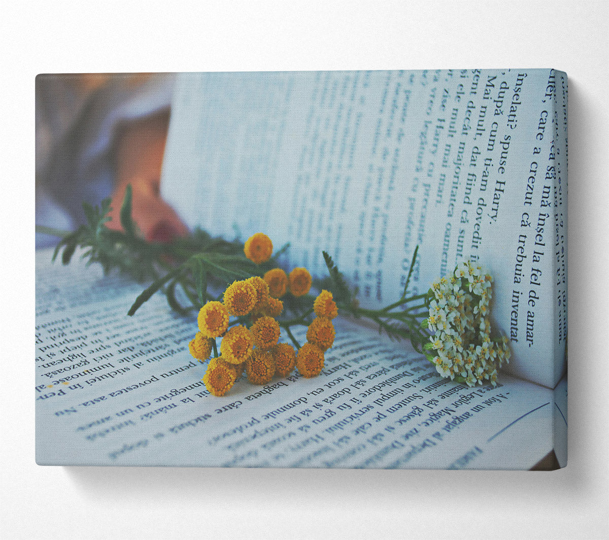 Yellow Blooms On White Pages Canvas Wall Art