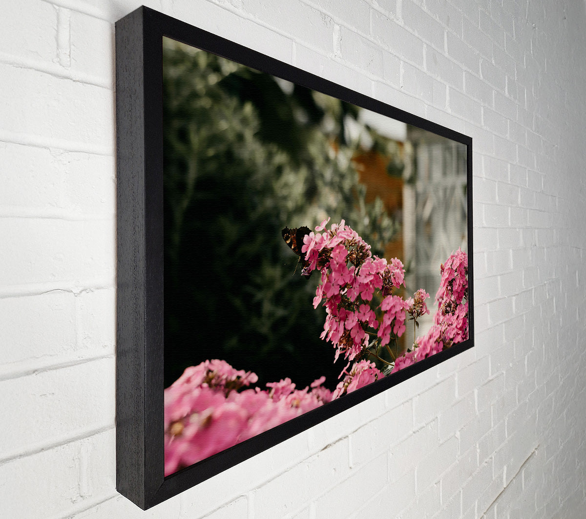 Pink Blooms And Butterfly Canvas Wall Art