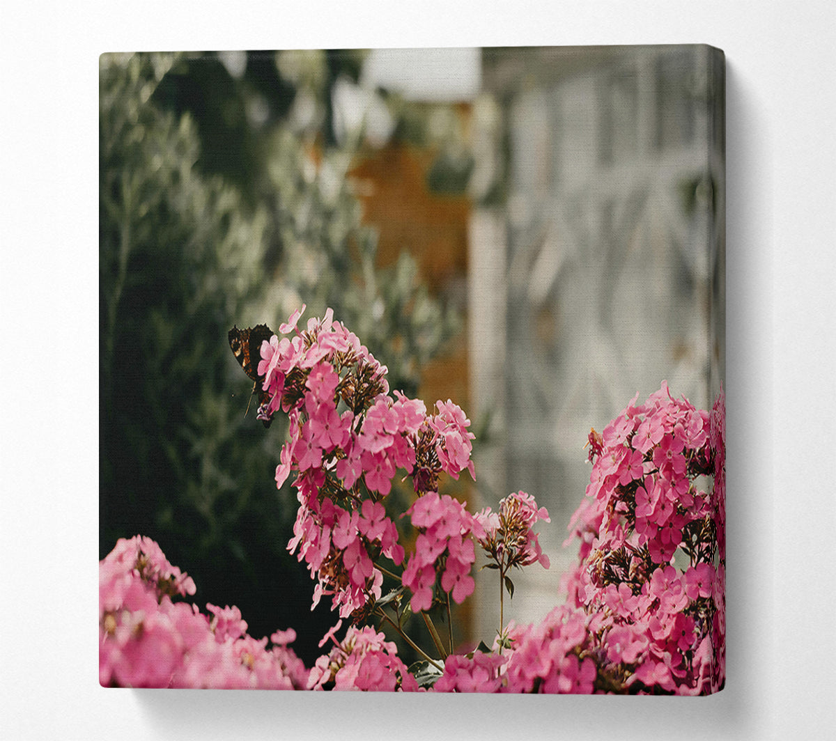 Pink Blooms And Butterfly Canvas Wall Art