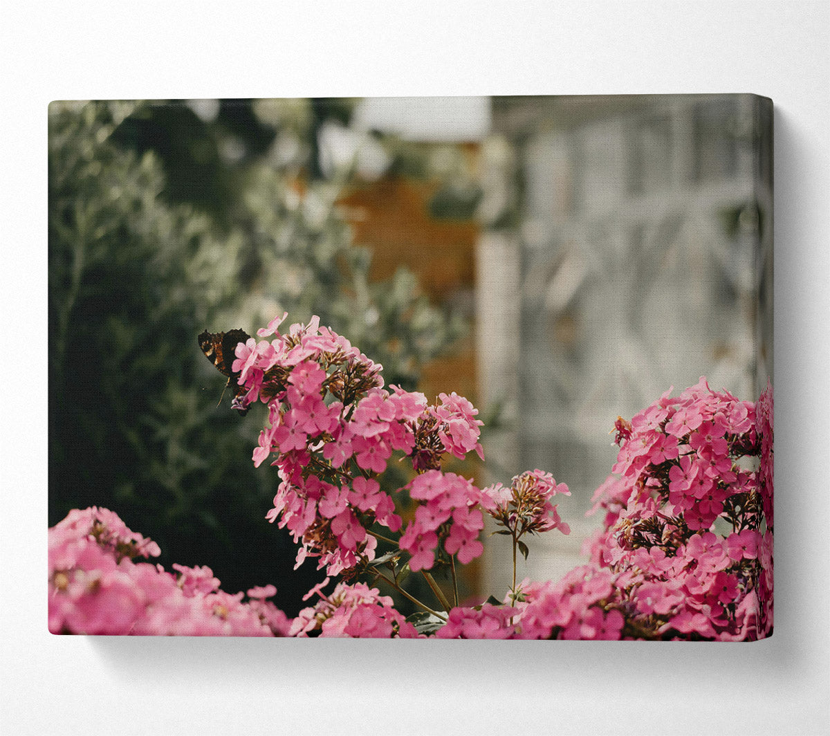 Pink Blooms And Butterfly Canvas Wall Art