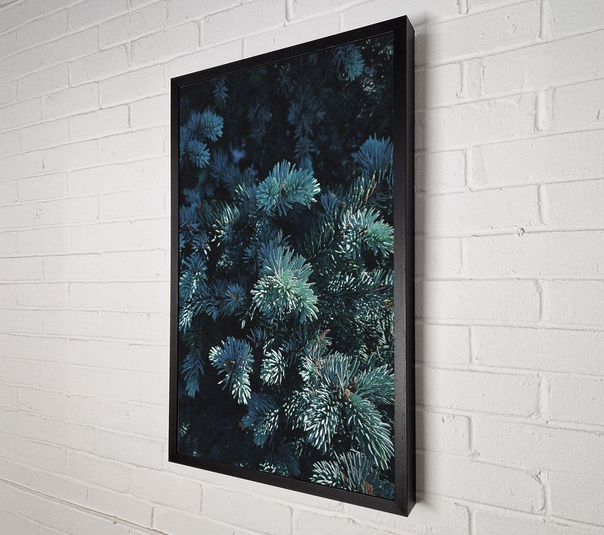 Teal Evergreen Embrace Canvas Wall Art