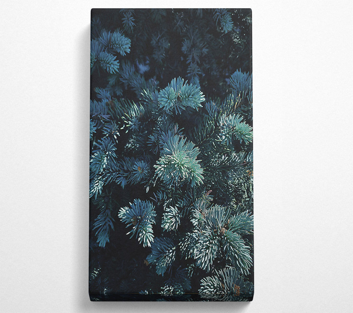 Teal Evergreen Embrace Canvas Wall Art