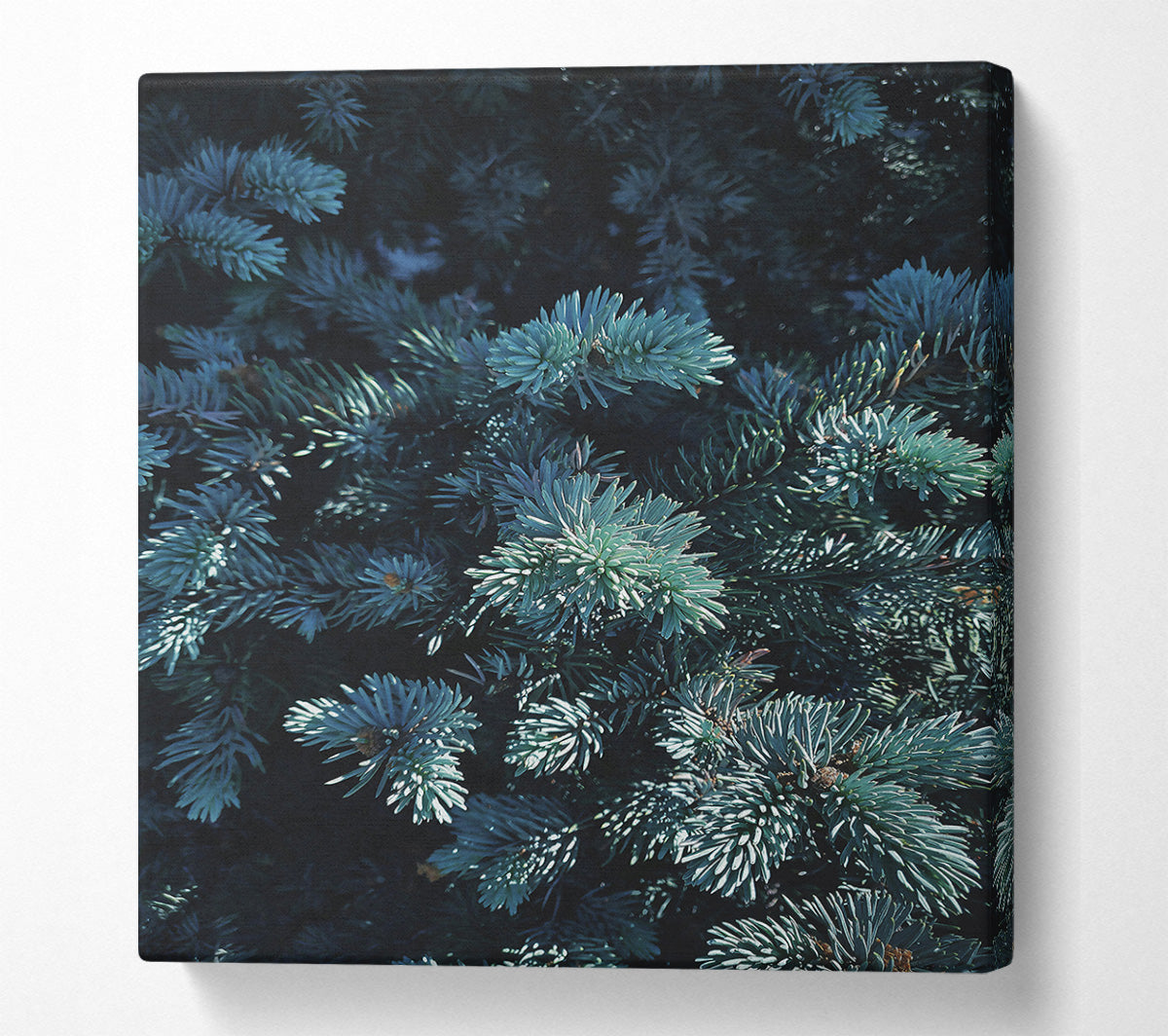 Teal Evergreen Embrace Canvas Wall Art