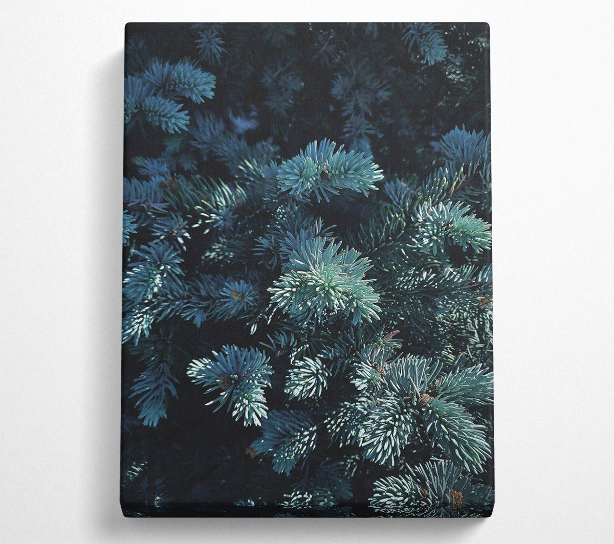 Teal Evergreen Embrace Canvas Wall Art