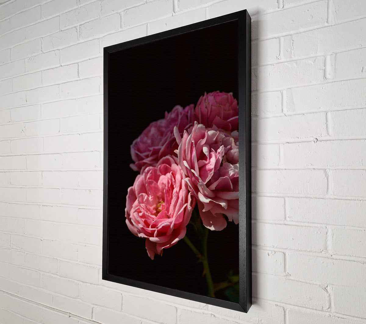 Soft Pink Blooms Canvas Wall Art