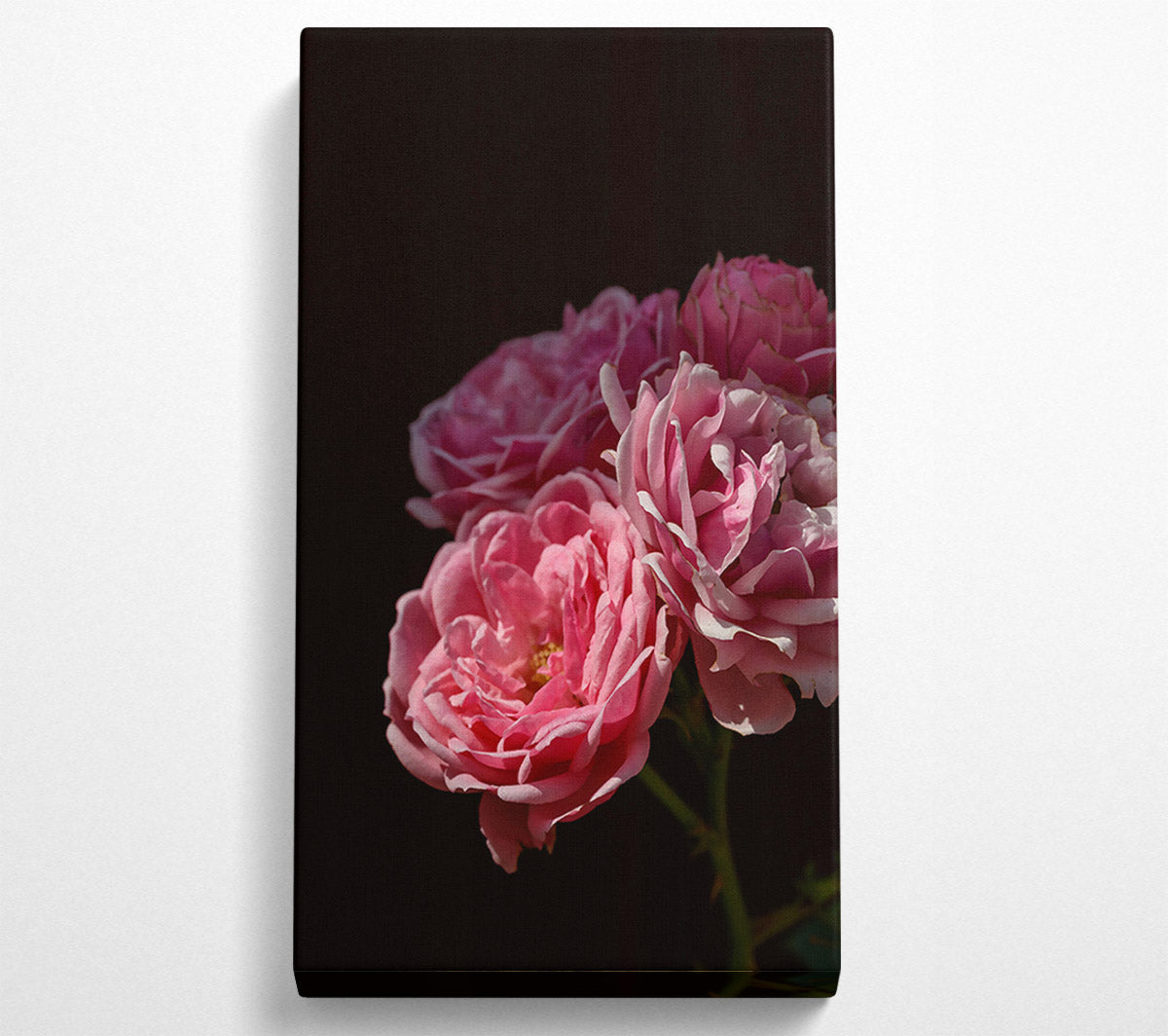 Soft Pink Blooms Canvas Wall Art