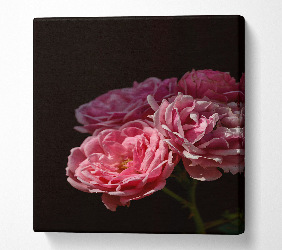Soft Pink Blooms Canvas Wall Art