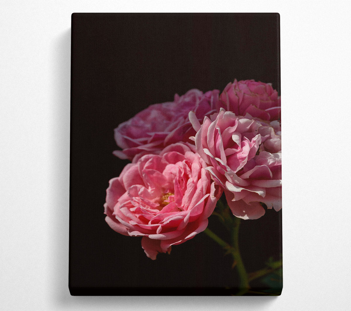 Soft Pink Blooms Canvas Wall Art