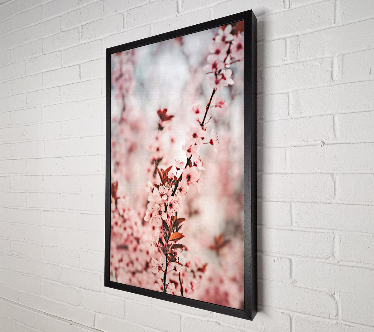 Pink Blossom Branch Canvas Print