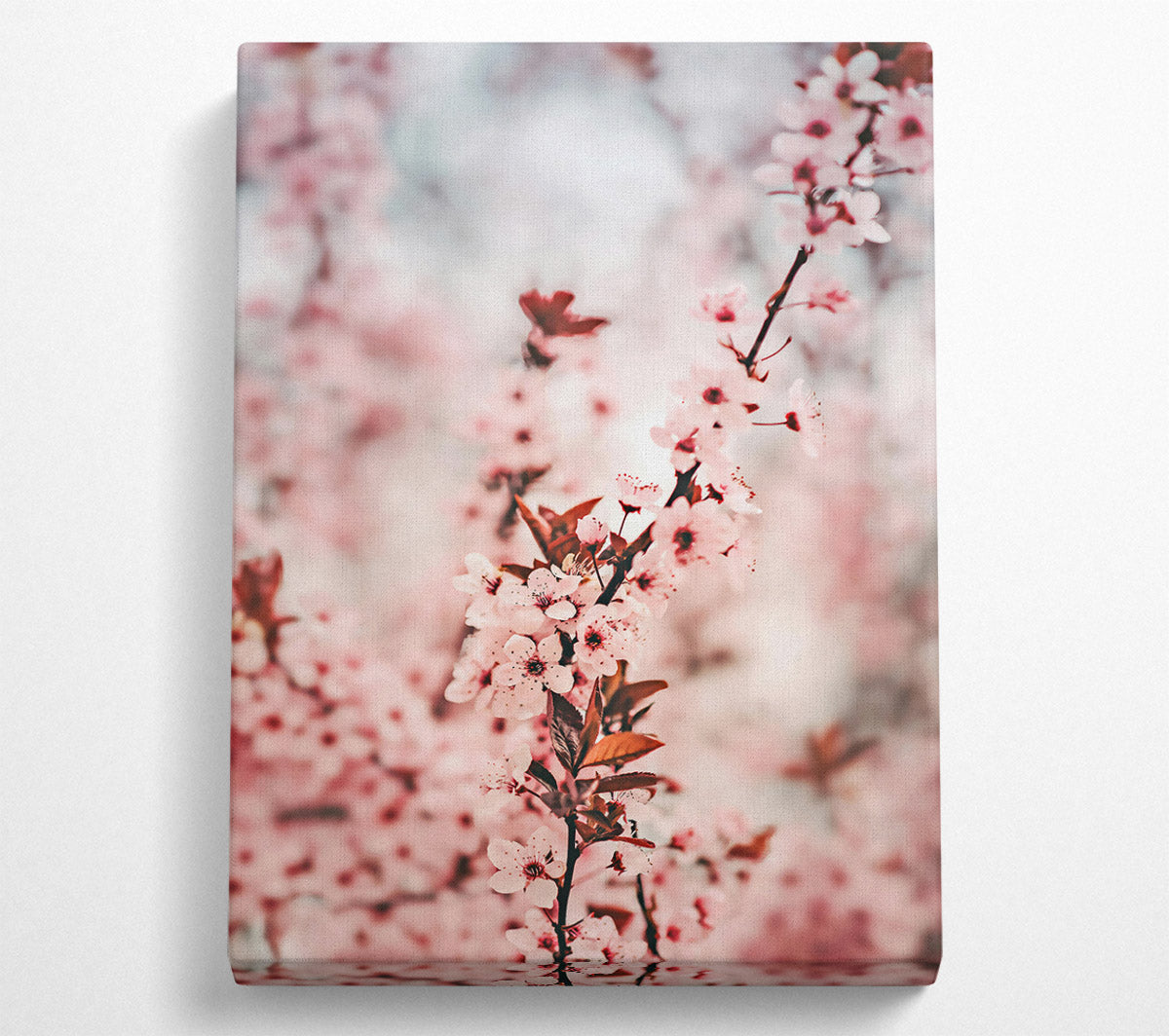 Pink Blossom Branch Canvas Print