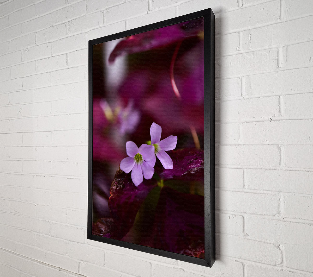 Purple Bloom'S Embrace Canvas Wall Art