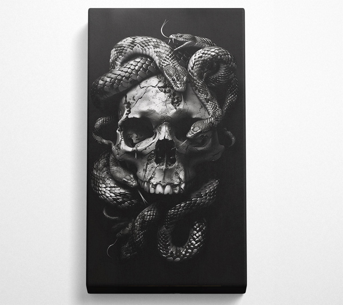 Silver Skull Embrace Canvas Wall Art