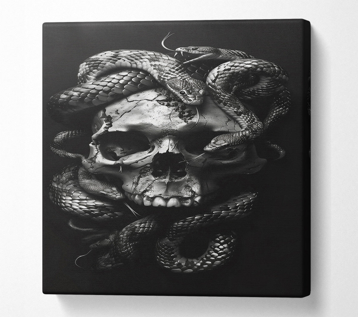Silver Skull Embrace Canvas Wall Art
