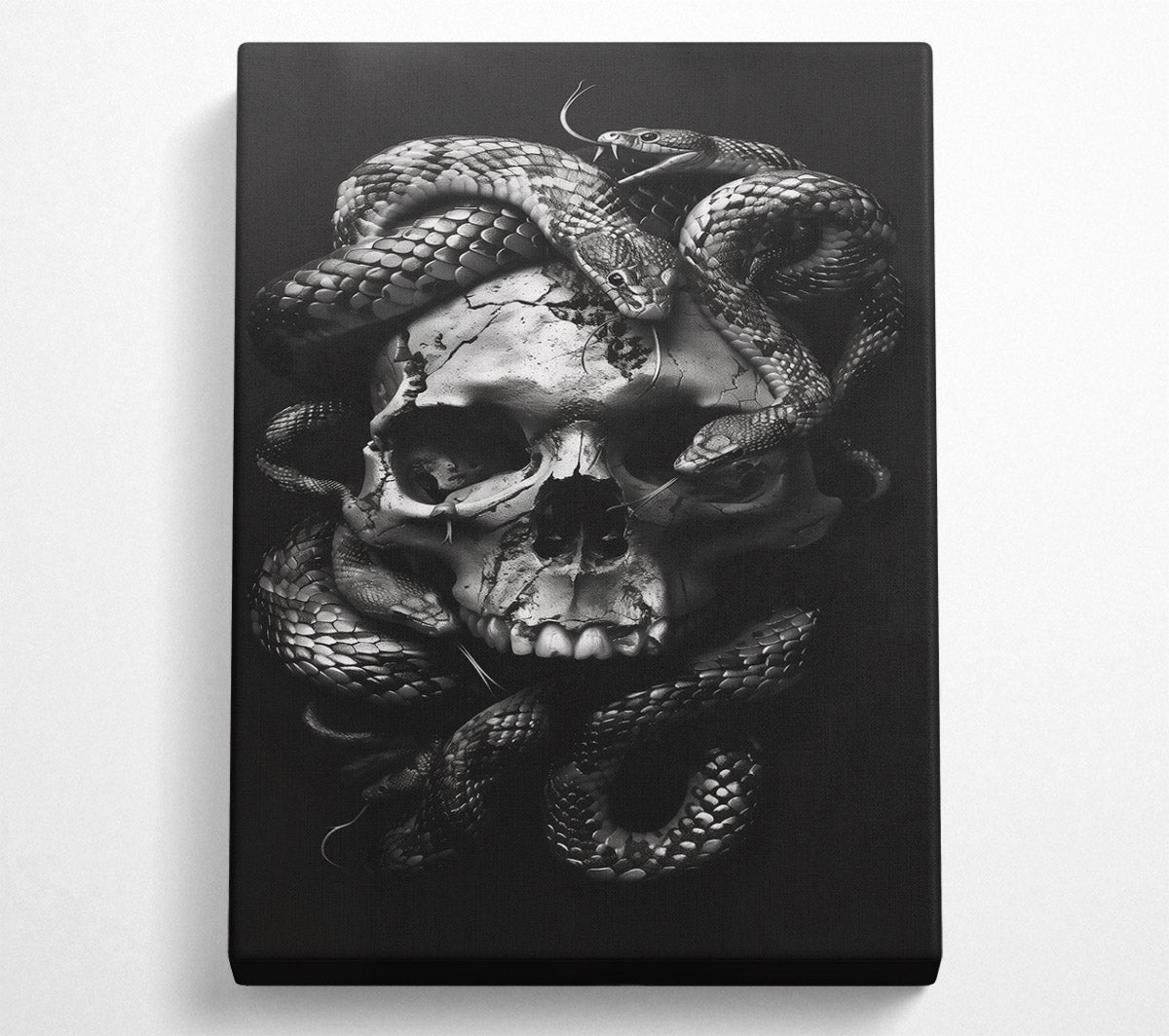 Silver Skull Embrace Canvas Wall Art