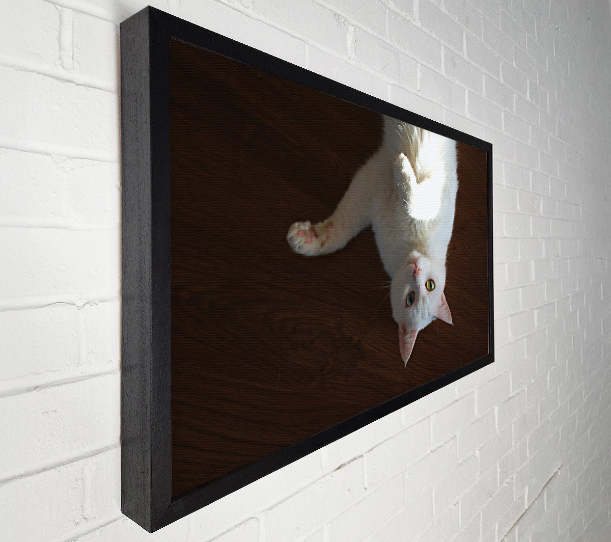 White Kitty Upside Down Canvas Wall Art