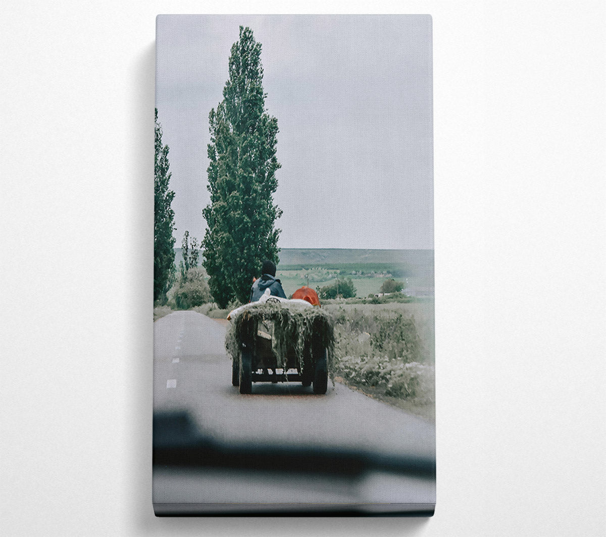 Green Hay Cart Road Canvas Print