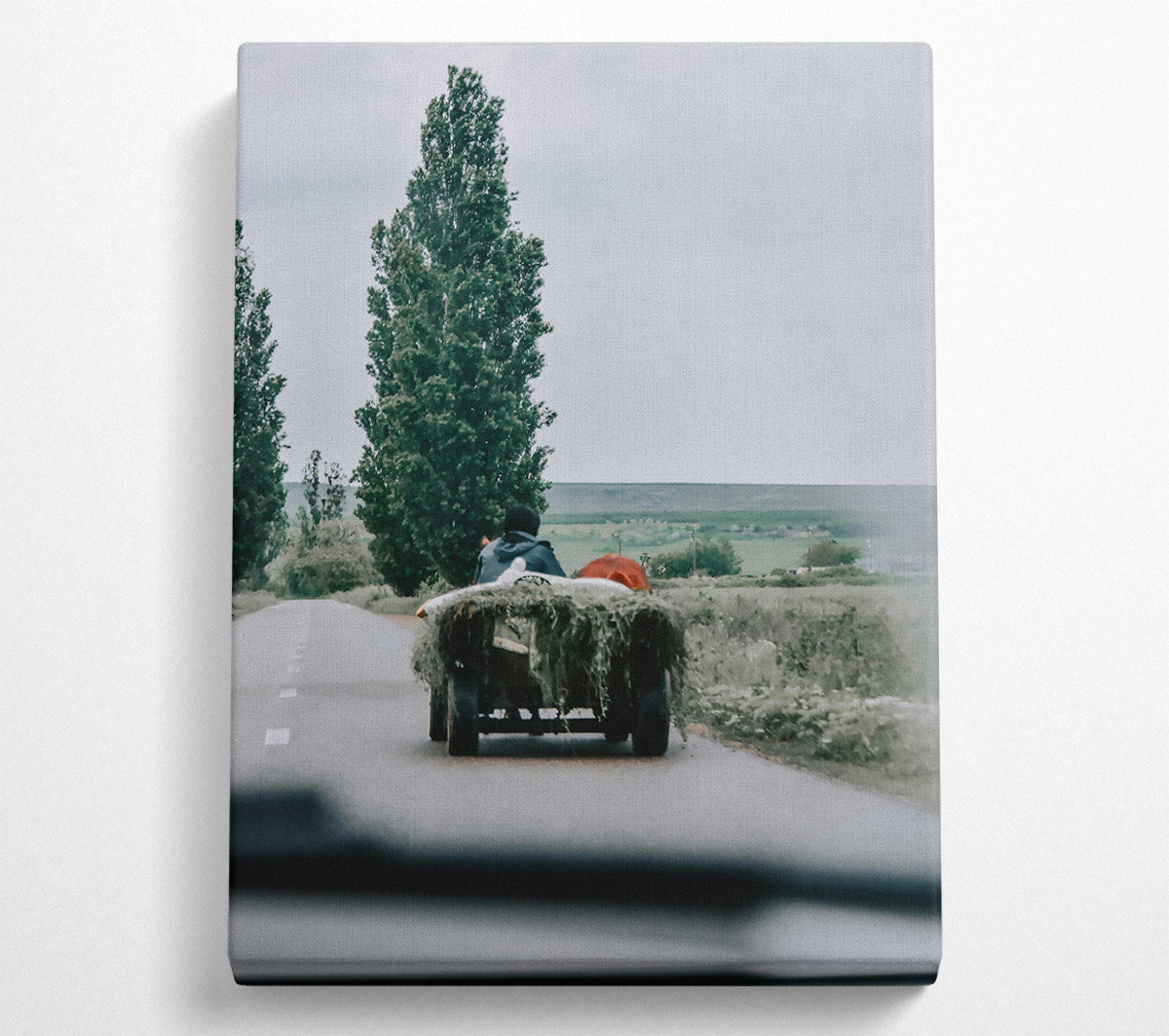 Green Hay Cart Road Canvas Print