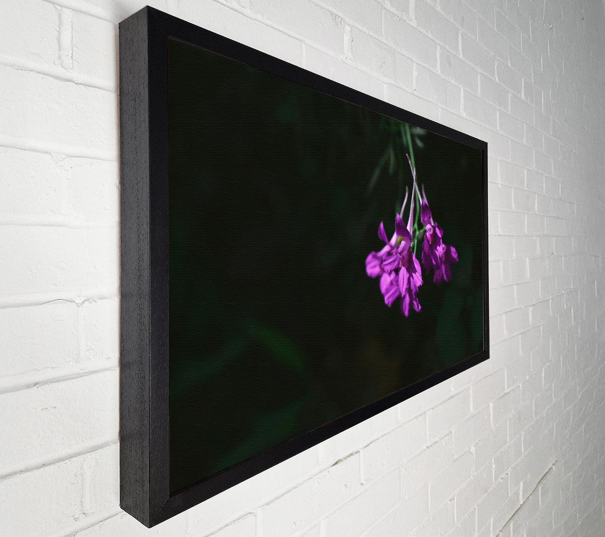 Purple Whispers In Shadow Canvas Wall Art