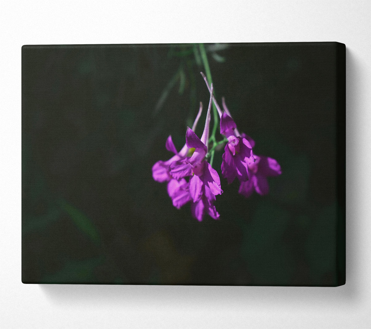 Purple Whispers In Shadow Canvas Wall Art