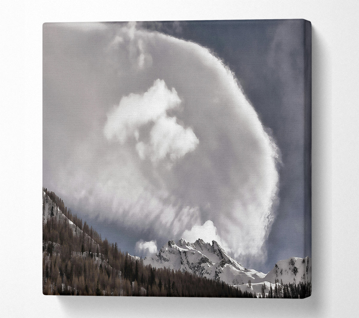Silver Cloud Embrace Canvas Wall Art
