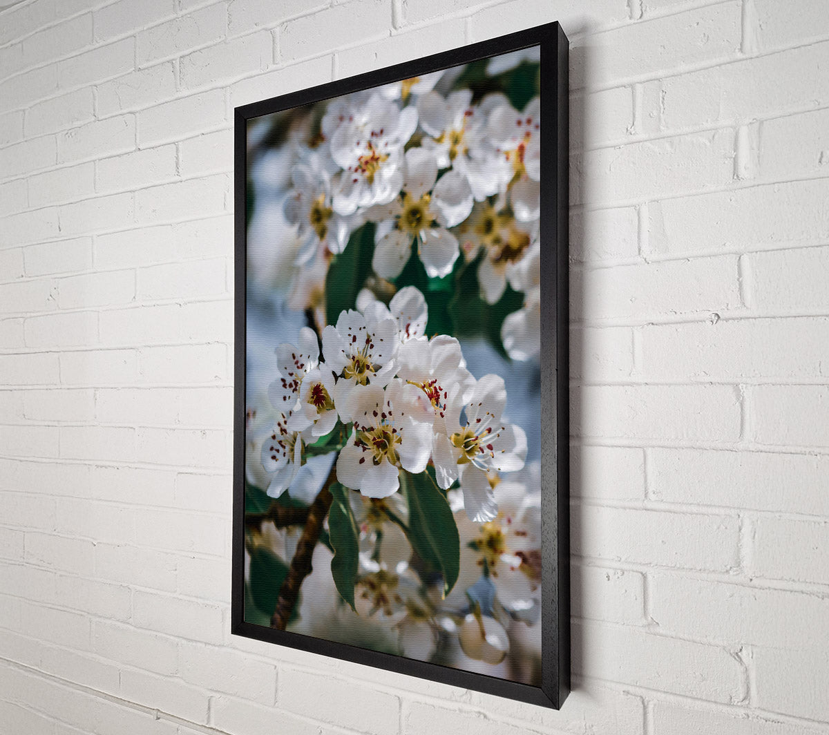 White Blooms In Springtime Canvas Wall Art