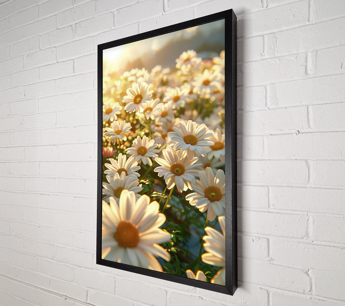 Golden Daisies In Bloom Canvas Art
