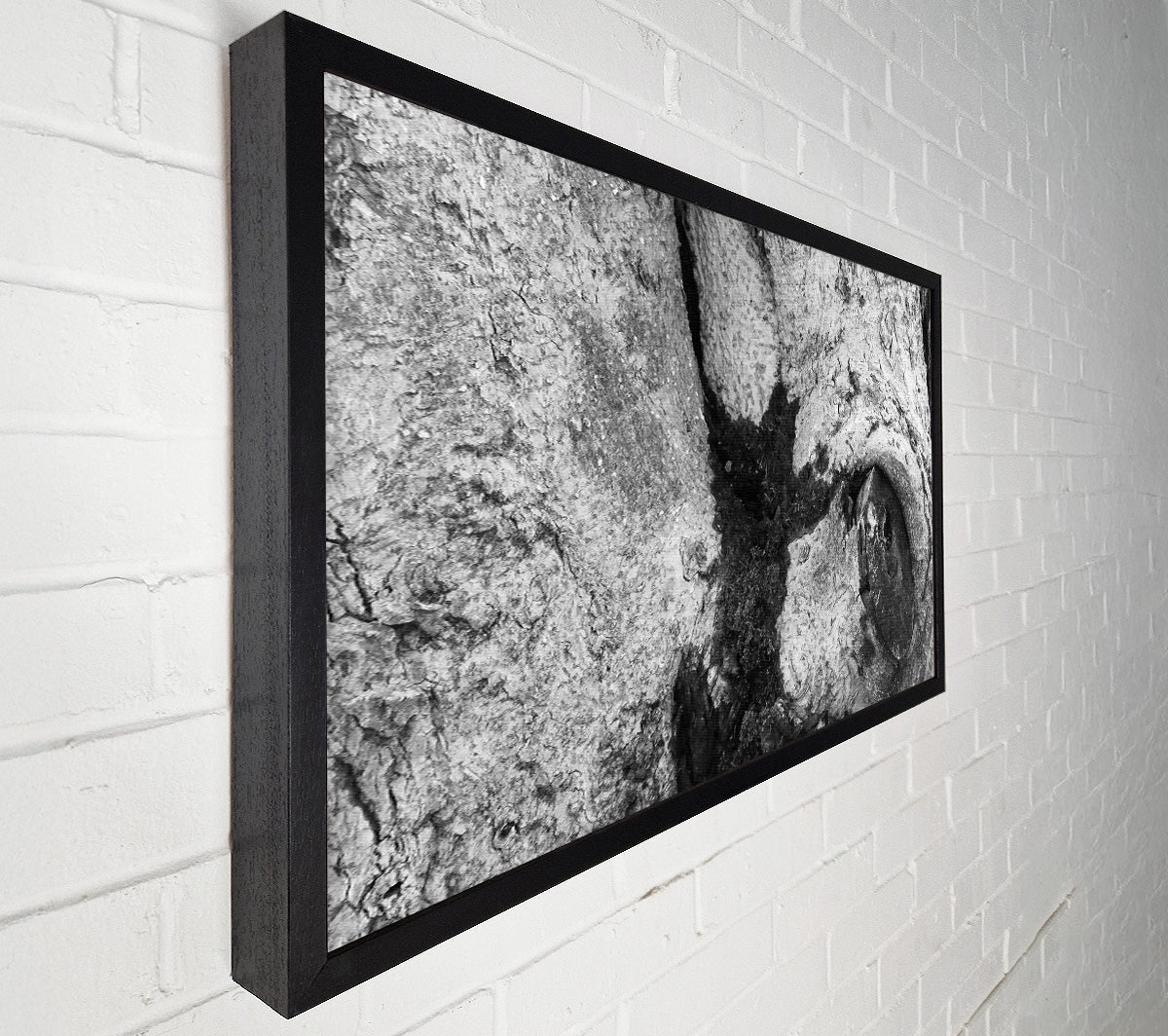 The Blackened Bark Canvas Wall Art