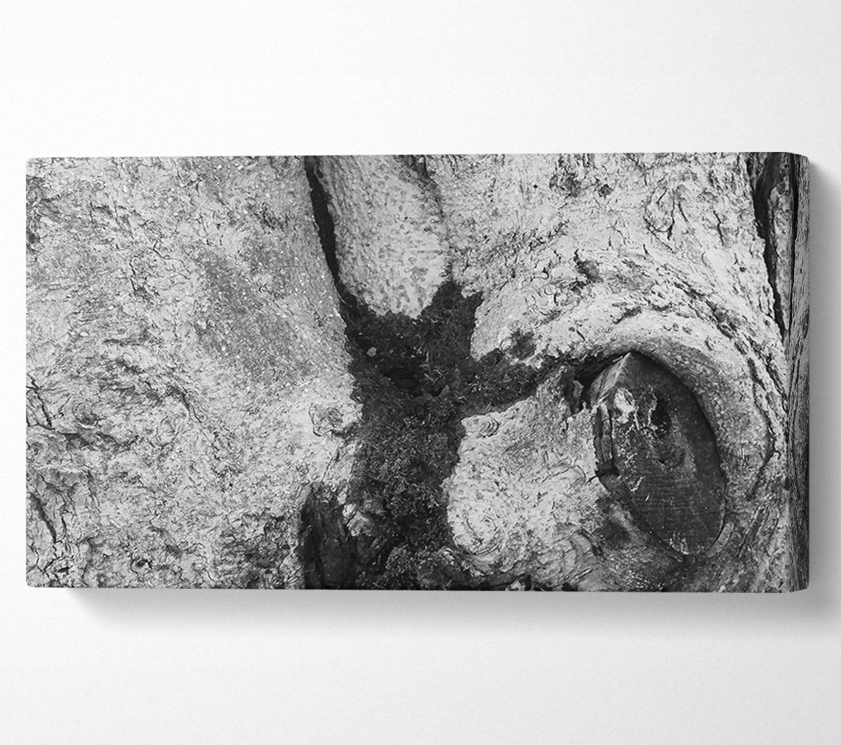 The Blackened Bark Canvas Wall Art