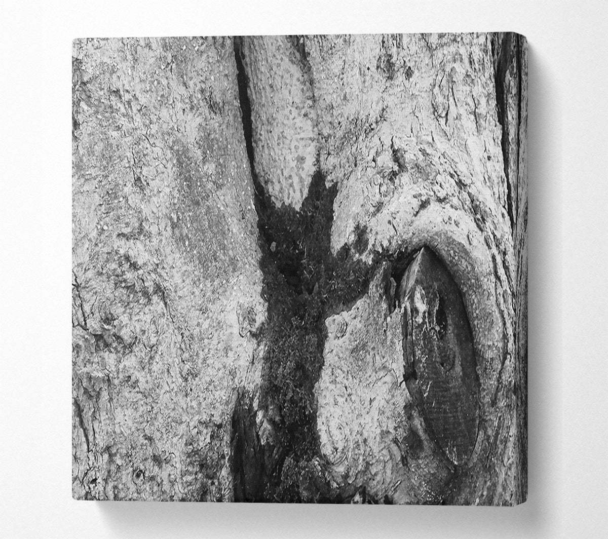 The Blackened Bark Canvas Wall Art