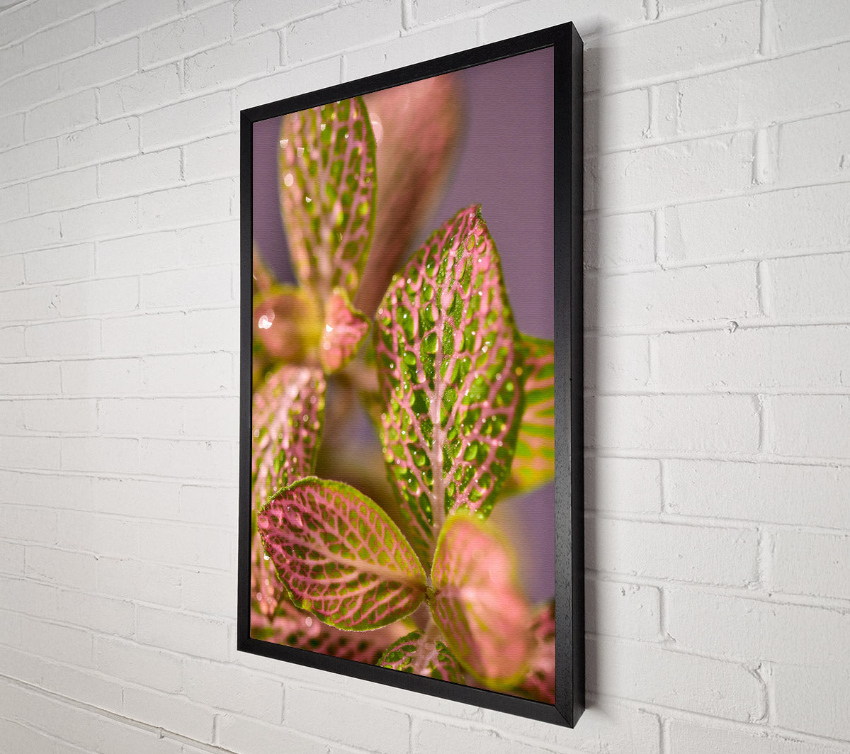 Pink Dewy Leaves Canvas Wall Art