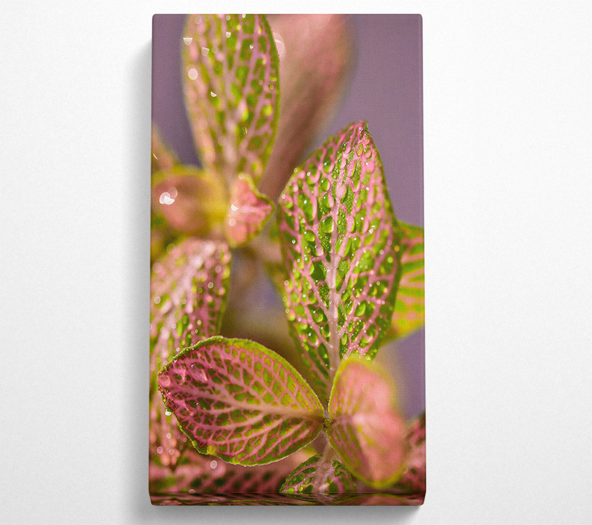 Pink Dewy Leaves Canvas Wall Art