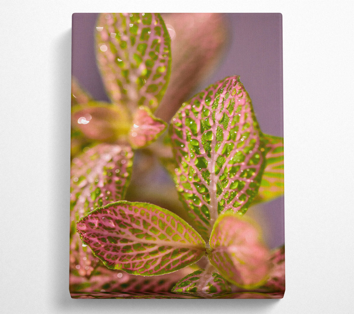 Pink Dewy Leaves Canvas Wall Art