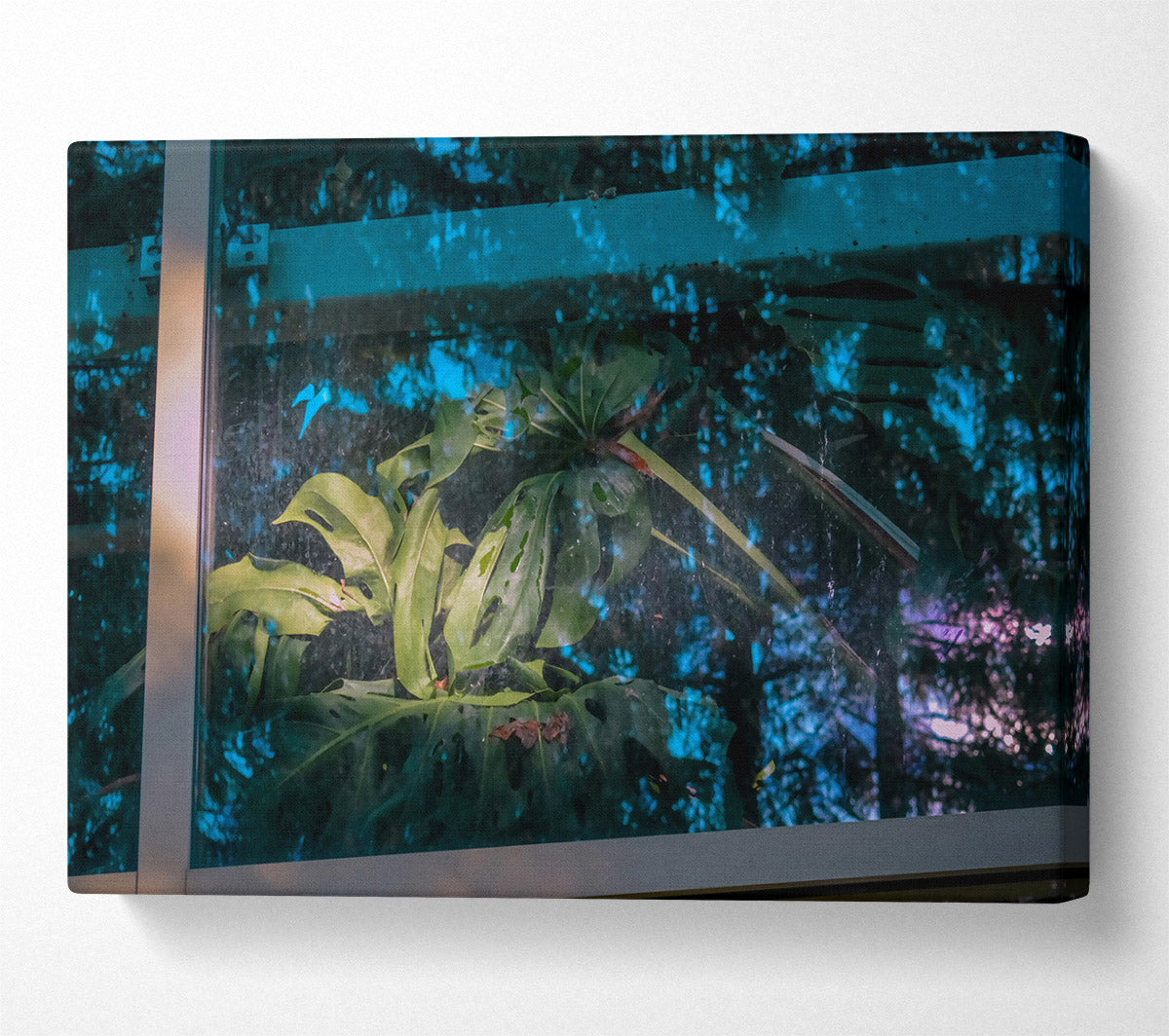 Teal Windowpane Jungle Canvas Art