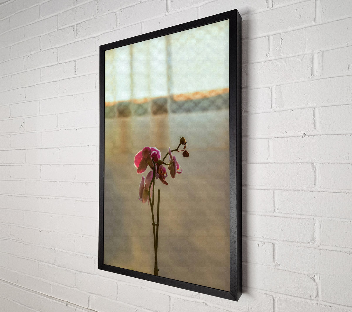 Pink Orchid Bloom Canvas Wall Art