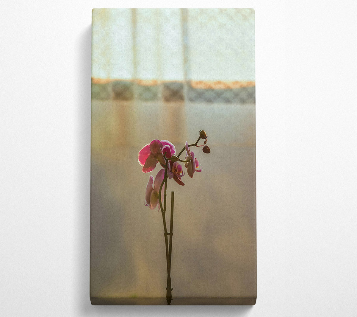 Pink Orchid Bloom Canvas Wall Art