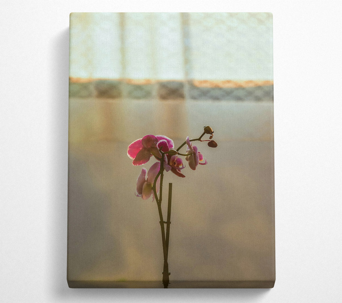 Pink Orchid Bloom Canvas Wall Art