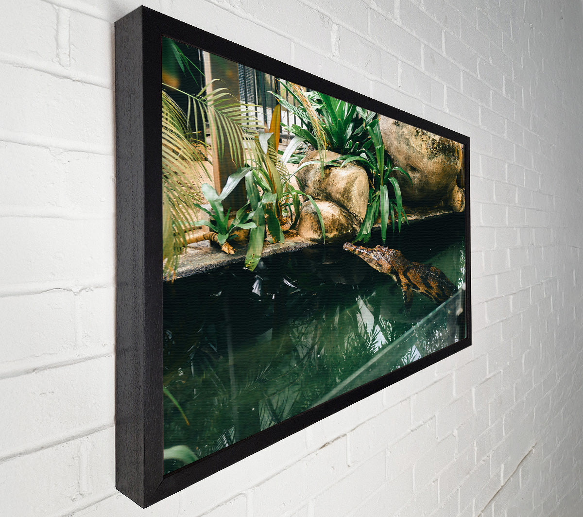 Green Pond Lurker Canvas Print