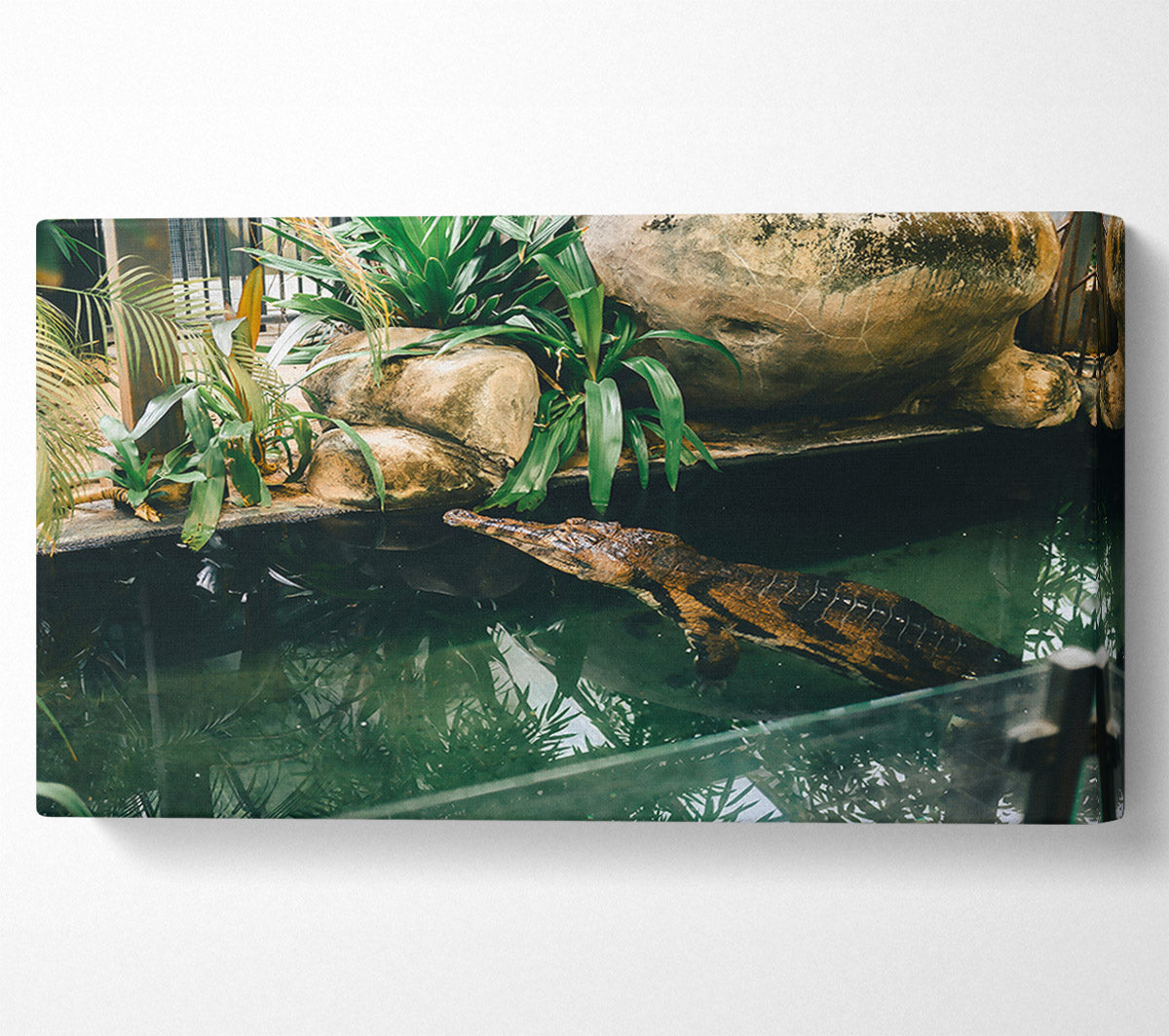 Green Pond Lurker Canvas Print