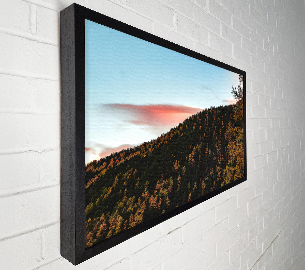 Pink Sky Forest Canvas Wall Art