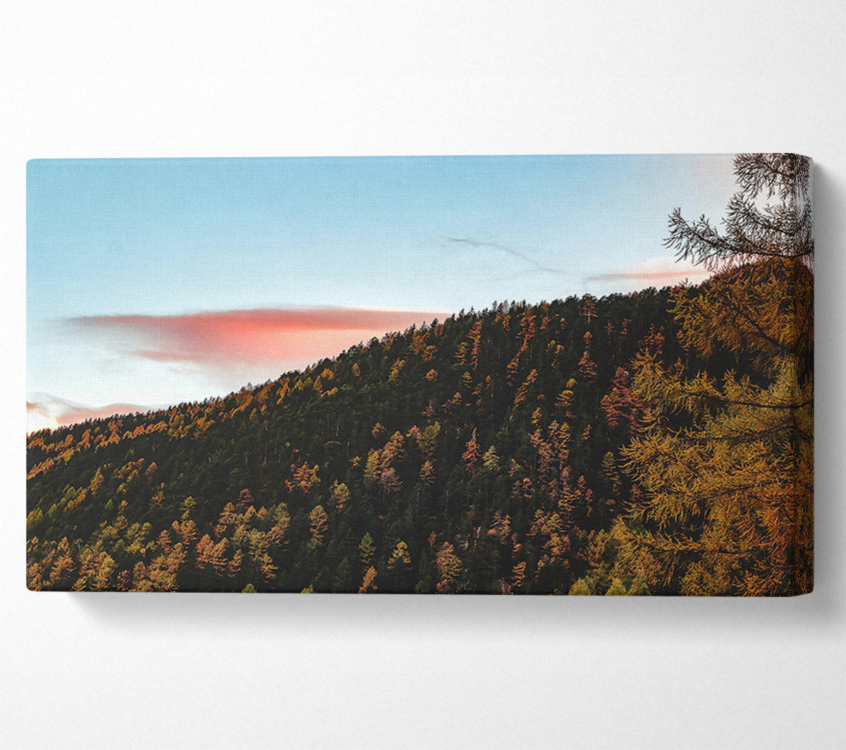 Pink Sky Forest Canvas Wall Art
