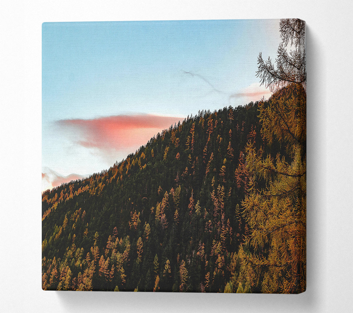 Pink Sky Forest Canvas Wall Art