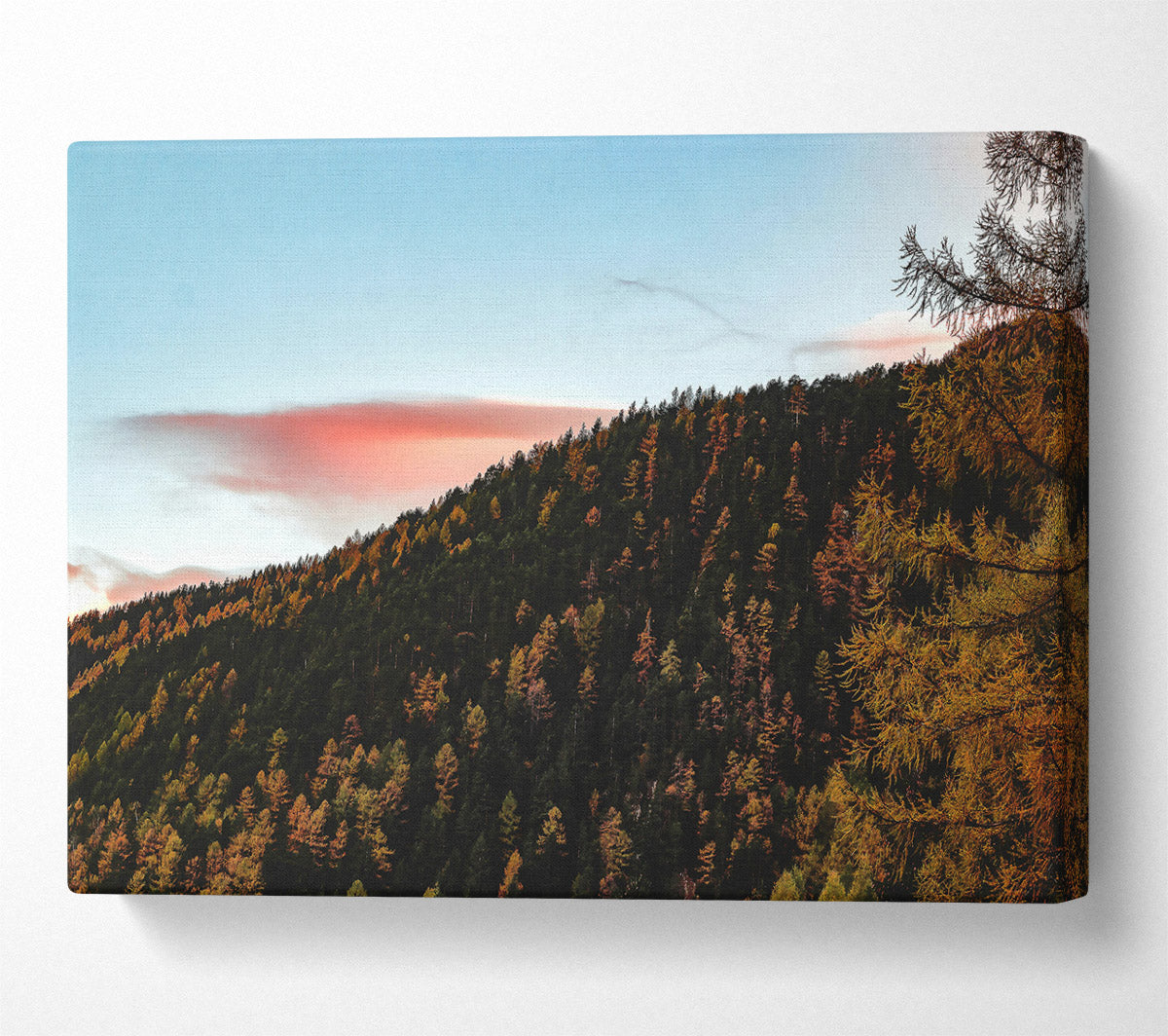 Pink Sky Forest Canvas Wall Art