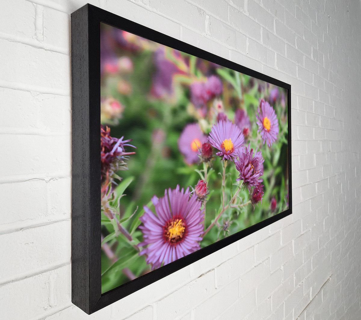 Purple Garden Bloom Canvas Print