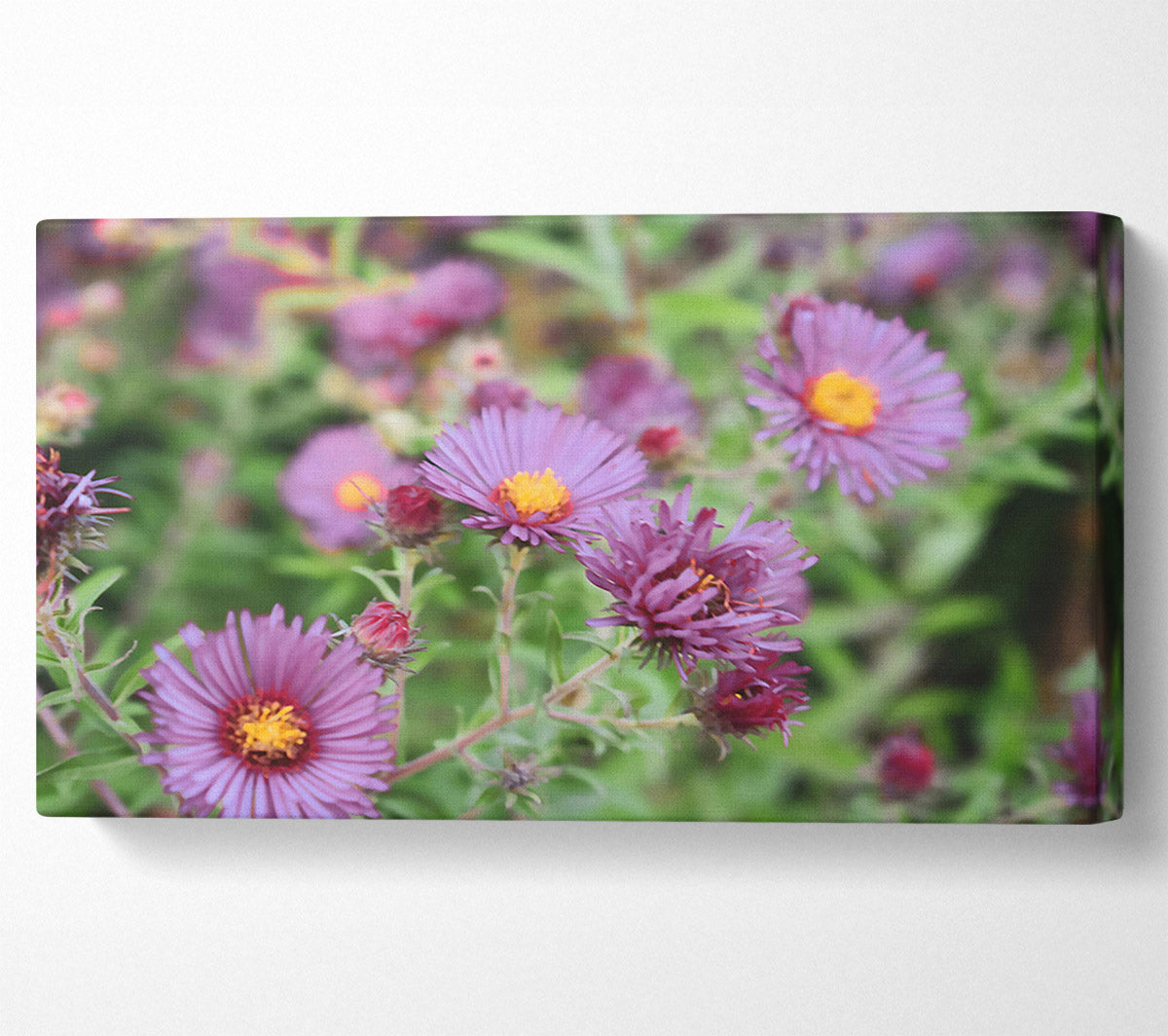 Purple Garden Bloom Canvas Print