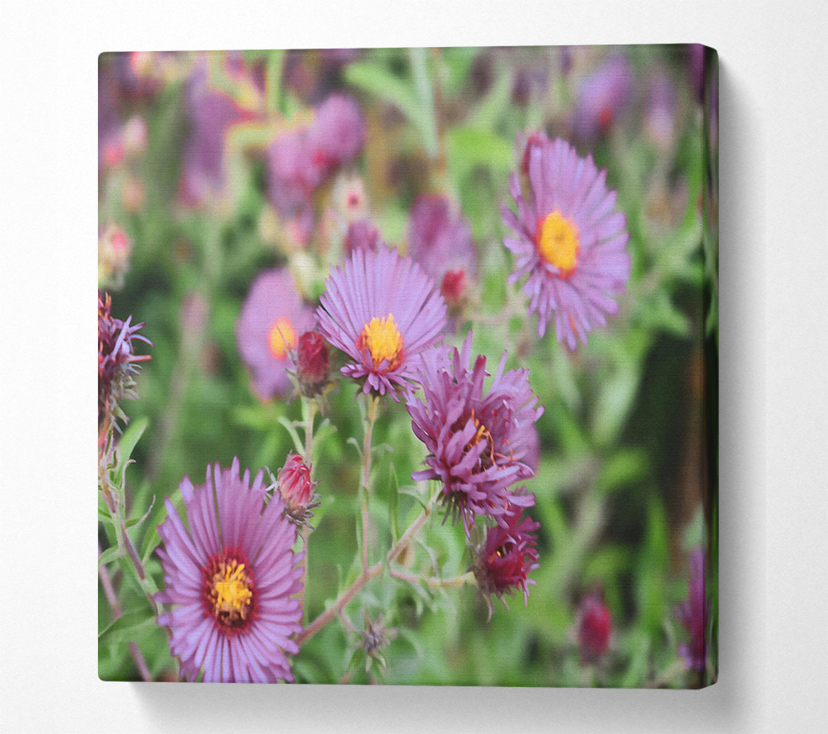 Purple Garden Bloom Canvas Print