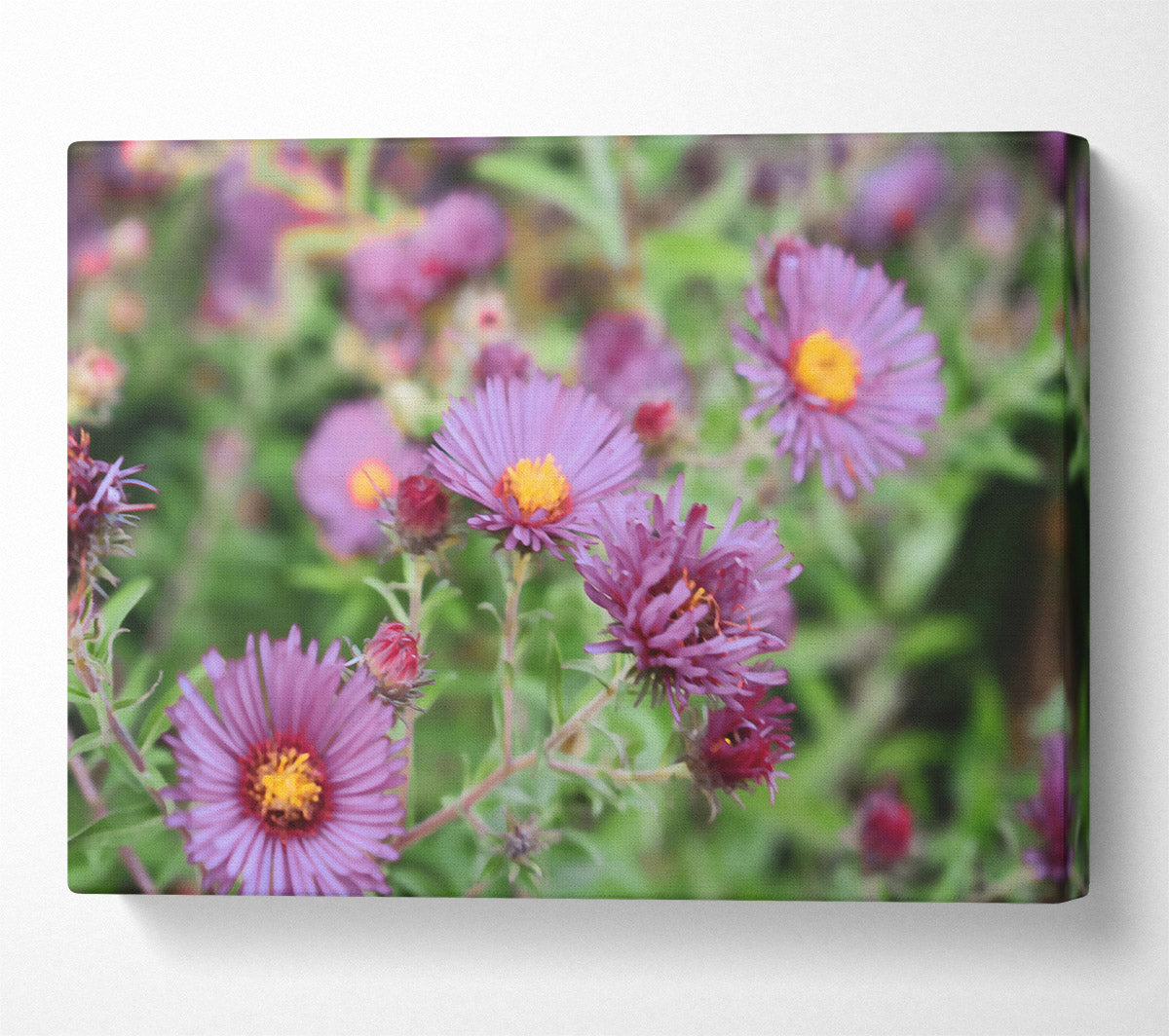 Purple Garden Bloom Canvas Print